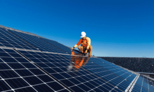 solar panel cost